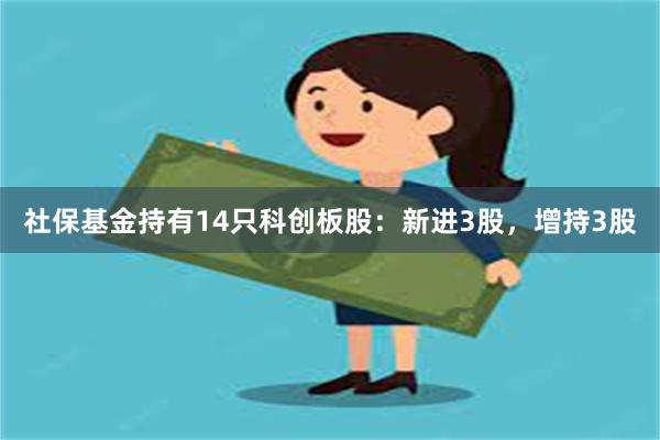 社保基金持有14只科创板股：新进3股，增持3股