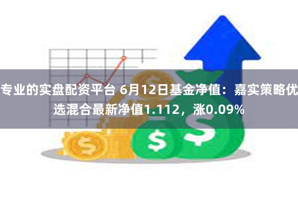 专业的实盘配资平台 6月12日基金净值：嘉实策略优选混合最新净值1.112，涨0.09%