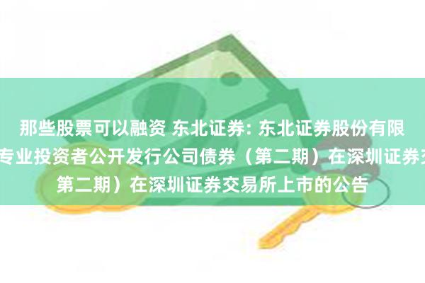 那些股票可以融资 东北证券: 东北证券股份有限公司2024年面向专业投资者公开发行公司债券(第二期)在深圳证券交易所上市的公告