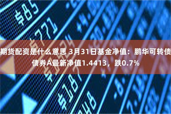 期货配资是什么意思 3月31日基金净值：鹏华可转债债券A最新净值1.4413，跌0.7%