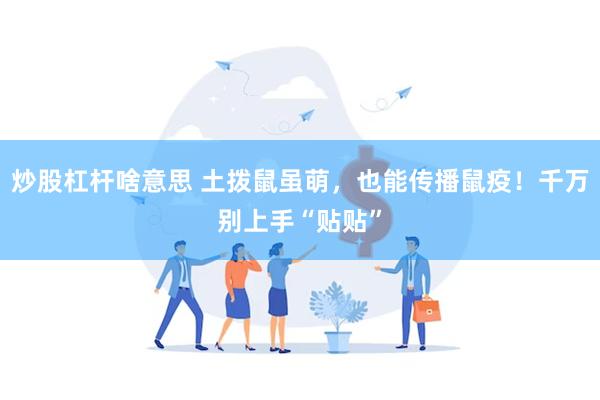 炒股杠杆啥意思 土拨鼠虽萌，也能传播鼠疫！千万别上手“贴贴”