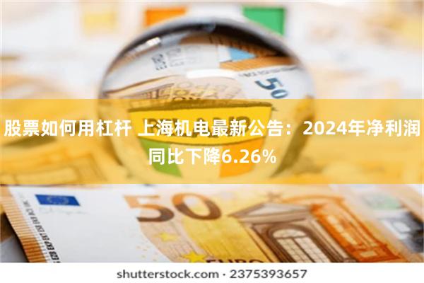 股票如何用杠杆 上海机电最新公告：2024年净利润同比下降6.26%