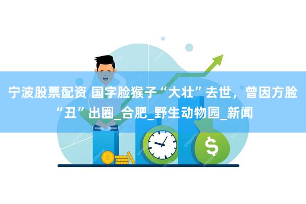 宁波股票配资 国字脸猴子“大壮”去世，曾因方脸“丑”出圈_合肥_野生动物园_新闻