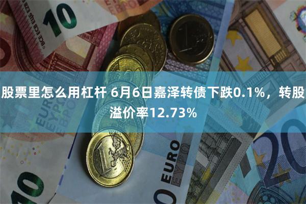 股票里怎么用杠杆 6月6日嘉泽转债下跌0.1%，转股溢价率12.73%