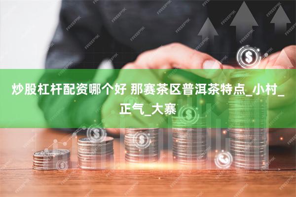 炒股杠杆配资哪个好 那赛茶区普洱茶特点_小村_正气_大寨