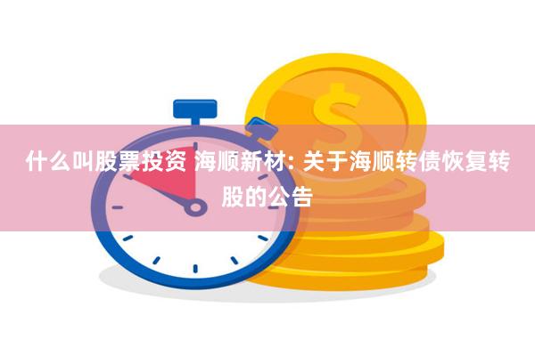什么叫股票投资 海顺新材: 关于海顺转债恢复转股的公告