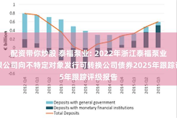 配资带你炒股 泰福泵业: 2022年浙江泰福泵业股份有限公司向不特定对象发行可转换公司债券2025年跟踪评级报告