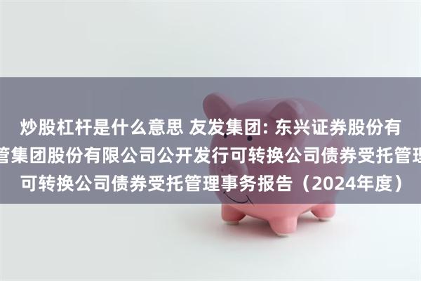 炒股杠杆是什么意思 友发集团: 东兴证券股份有限公司关于天津友发钢管集团股份有限公司公开发行可转换公司债券受托管理事务报告（2024年度）