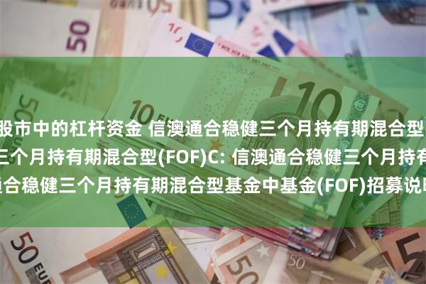 股市中的杠杆资金 信澳通合稳健三个月持有期混合型(FOF)A,信澳通合稳健三个月持有期混合型(FOF)C: 信澳通合稳健三个月持有期混合型基金中基金(FOF)招募说明书(更新)