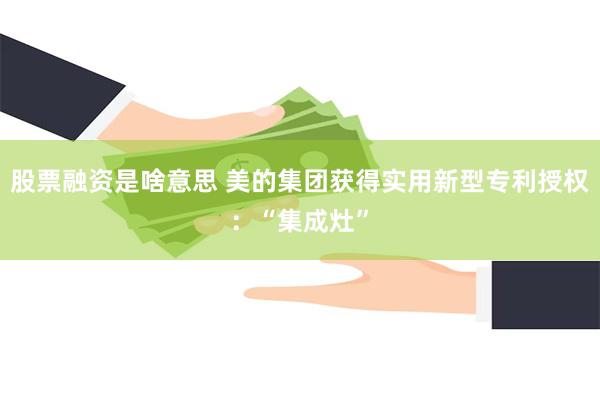 股票融资是啥意思 美的集团获得实用新型专利授权：“集成灶”