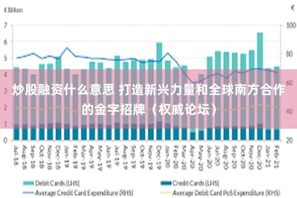 炒股融资什么意思 打造新兴力量和全球南方合作的金字招牌（权威论坛）