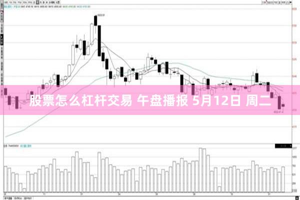 股票怎么杠杆交易 午盘播报 5月12日 周二