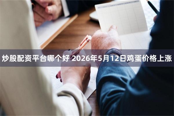 炒股配资平台哪个好 2026年5月12日鸡蛋价格上涨