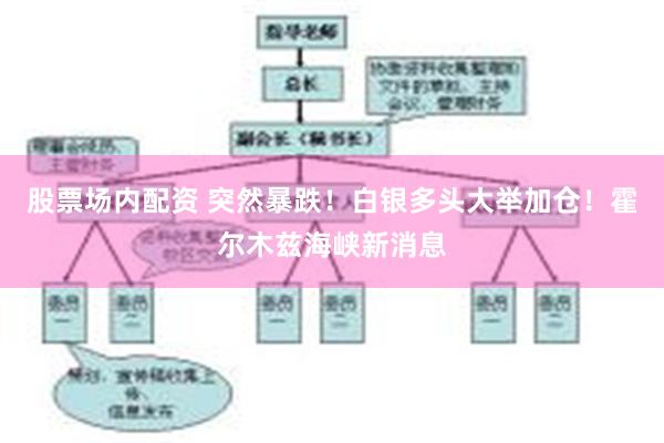 股票场内配资 突然暴跌！白银多头大举加仓！霍尔木兹海峡新消息