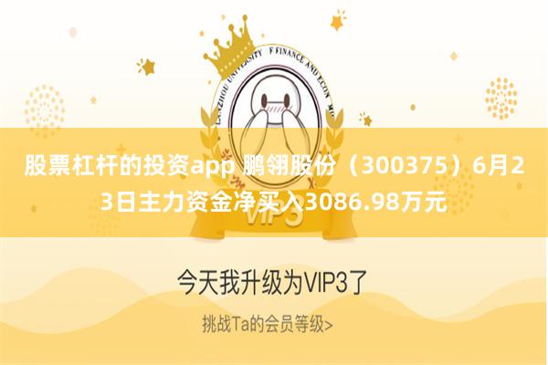 股票杠杆的投资app 鹏翎股份（300375）6月23日主力资金净买入3086.98万元
