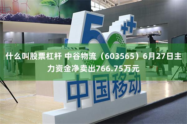 什么叫股票杠杆 中谷物流（603565）6月27日主力资金净卖出766.75万元