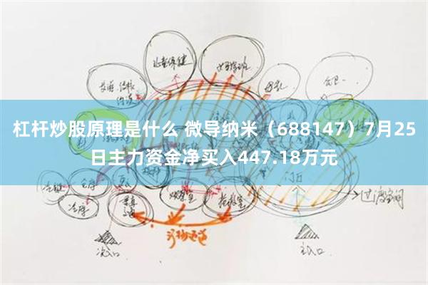 杠杆炒股原理是什么 微导纳米（688147）7月25日主力资金净买入447.18万元