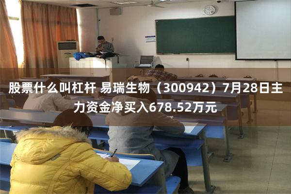 股票什么叫杠杆 易瑞生物（300942）7月28日主力资金净买入678.52万元