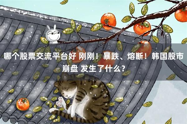哪个股票交流平台好 刚刚！暴跌、熔断！韩国股市崩盘 发生了什么？