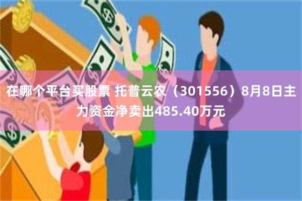 在哪个平台买股票 托普云农（301556）8月8日主力资金净卖出485.40万元