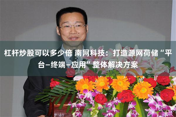 杠杆炒股可以多少倍 南网科技:打造源网荷储“平台—终端—应用”整体解决方案
