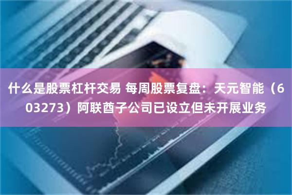 什么是股票杠杆交易 每周股票复盘：天元智能（603273）阿联酋子公司已设立但未开展业务