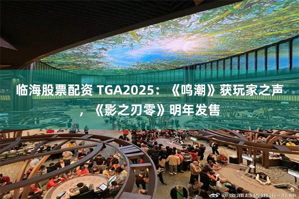 临海股票配资 TGA2025：《鸣潮》获玩家之声，《影之刃零》明年发售